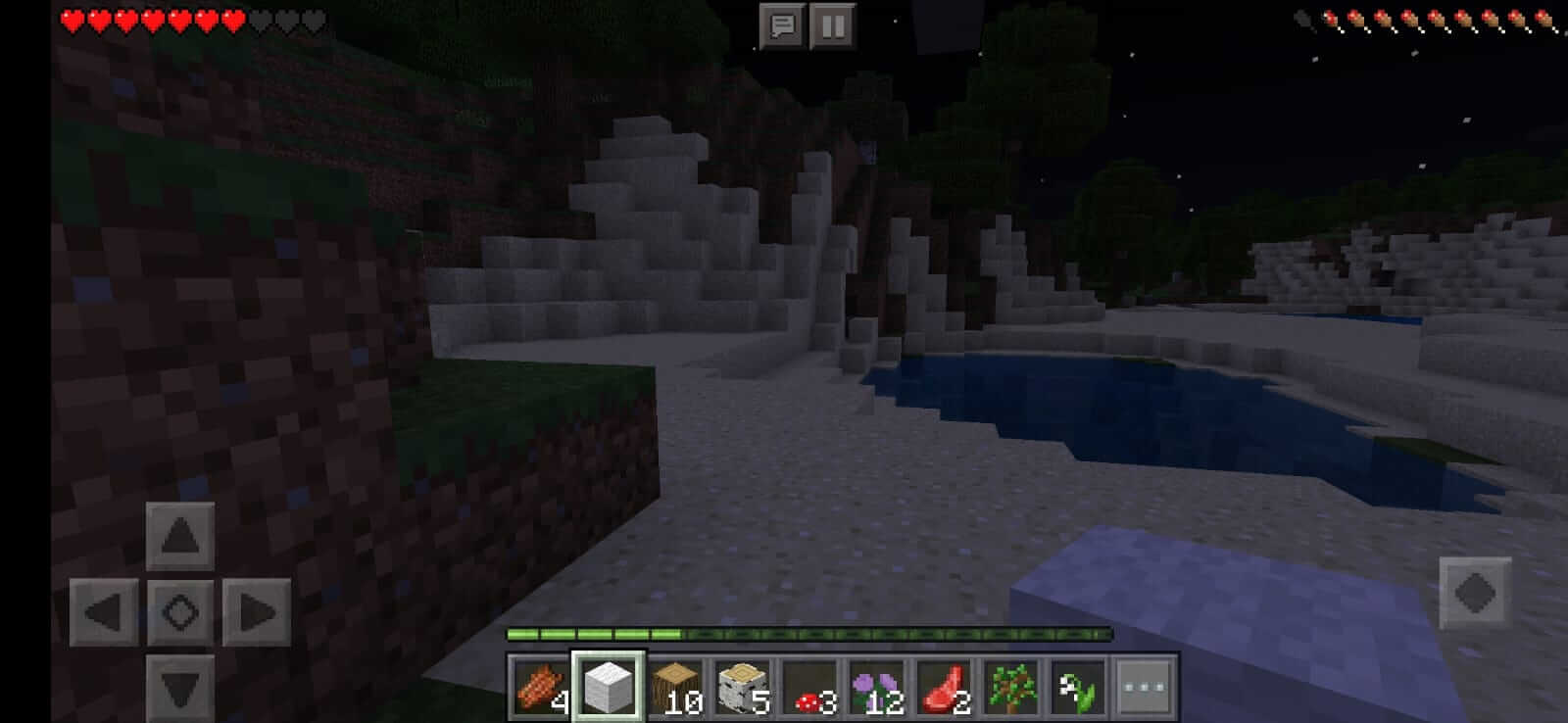 Screenshot Minecraft Bedrock Edition APK