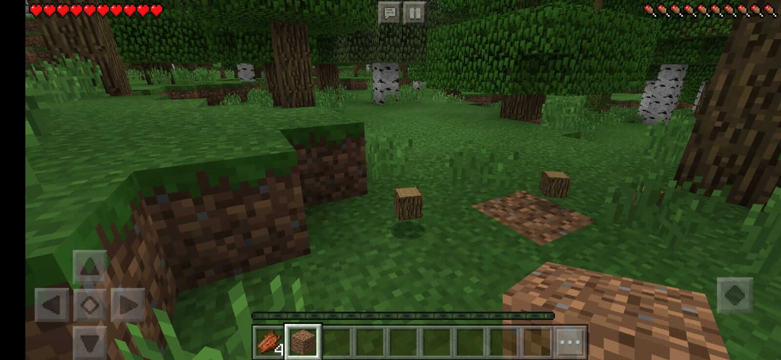 Screenshot Minecraft Bedrock Edition APK